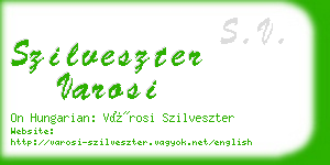 szilveszter varosi business card